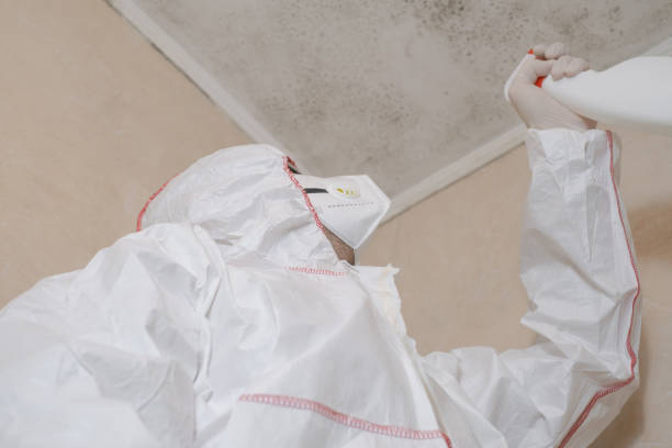 Best Best Mold Removal Companies  in Waianae, HI